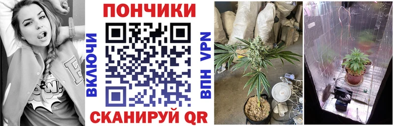 Шишки марихуана SATIVA & INDICA  как найти наркотики  Ермолино 